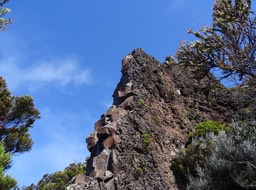Dyke au bord du sentier
