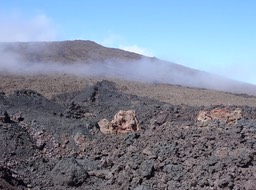Feu la Chapelle de Rosemont