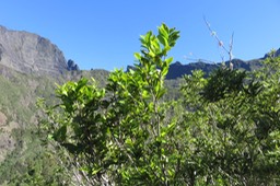 IMG_1658