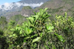 IMG_1660