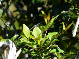 P1050684