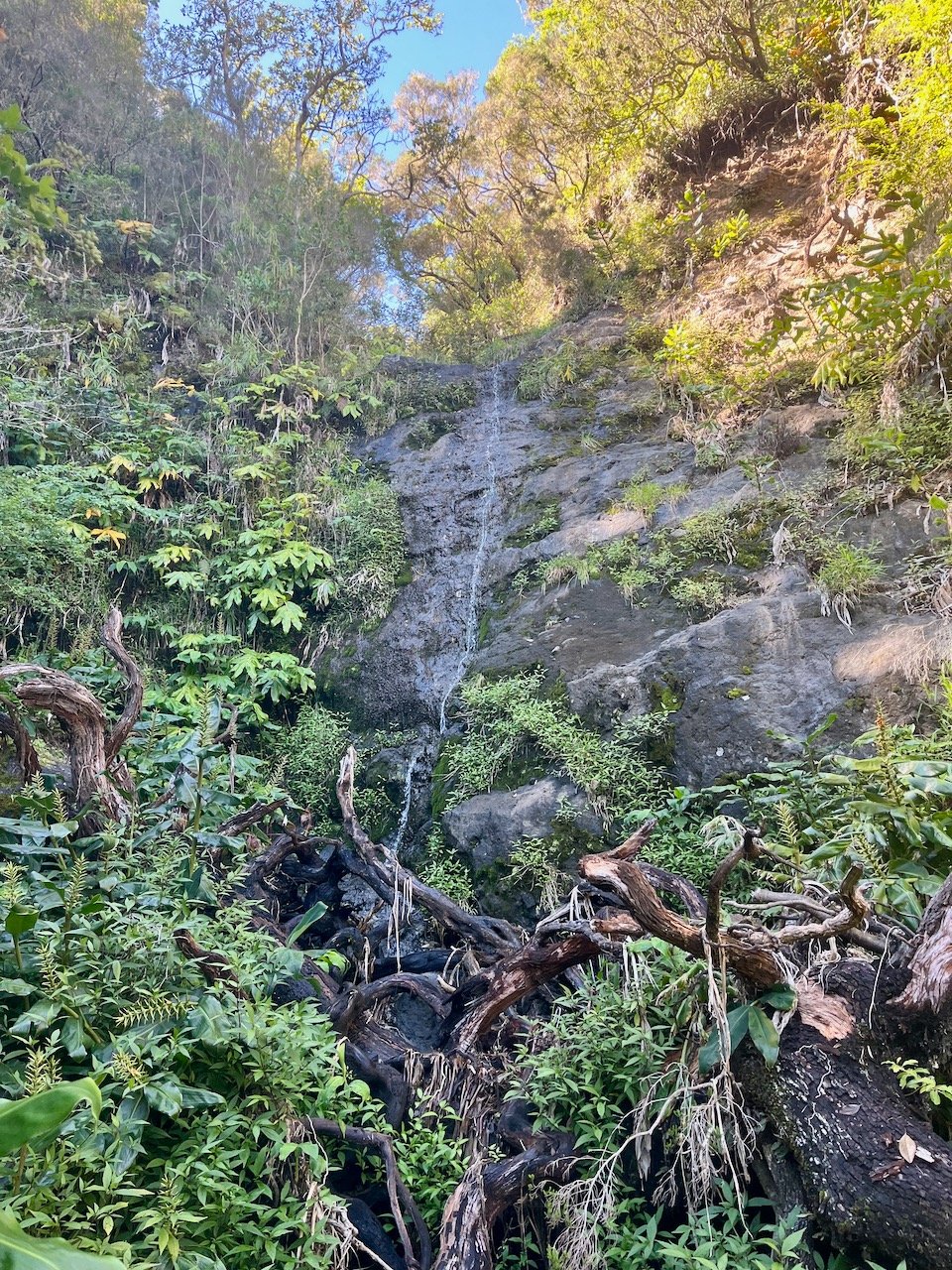 45. Filet d'eau (1)
