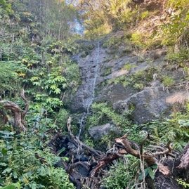 45. Filet d'eau (1)