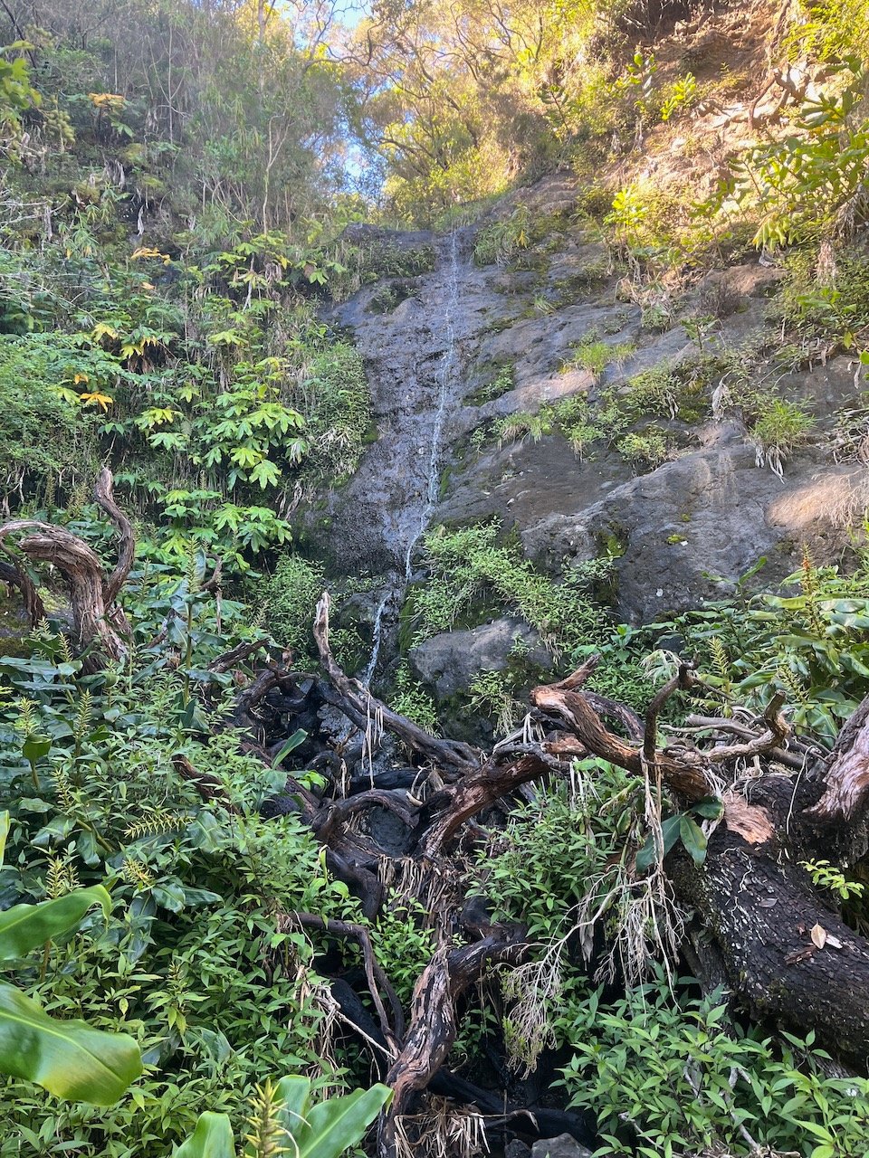 45. Filet d'eau