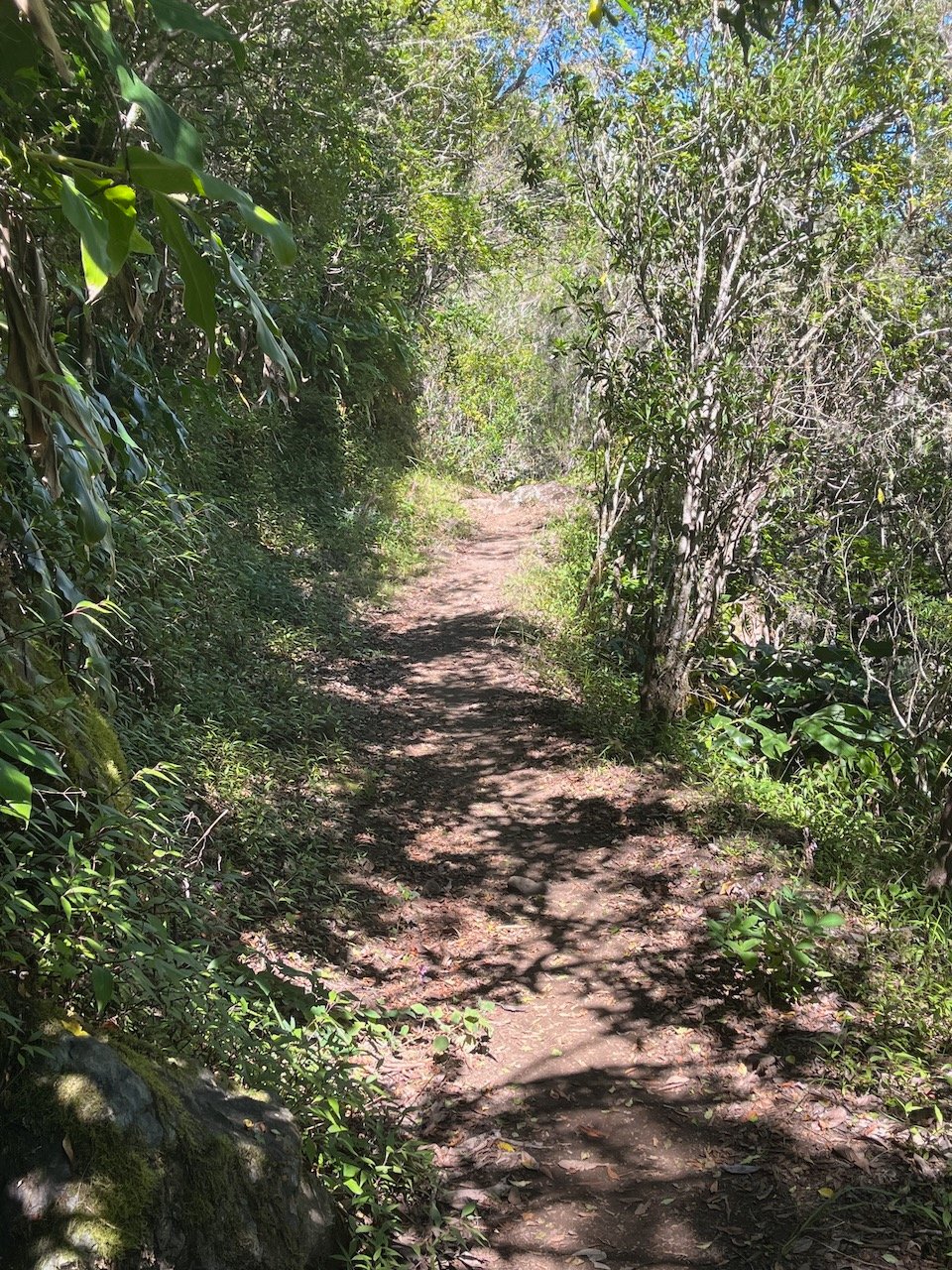 47. Le sentier dans sa partie horizontale