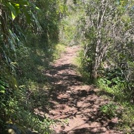 47. Le sentier dans sa partie horizontale