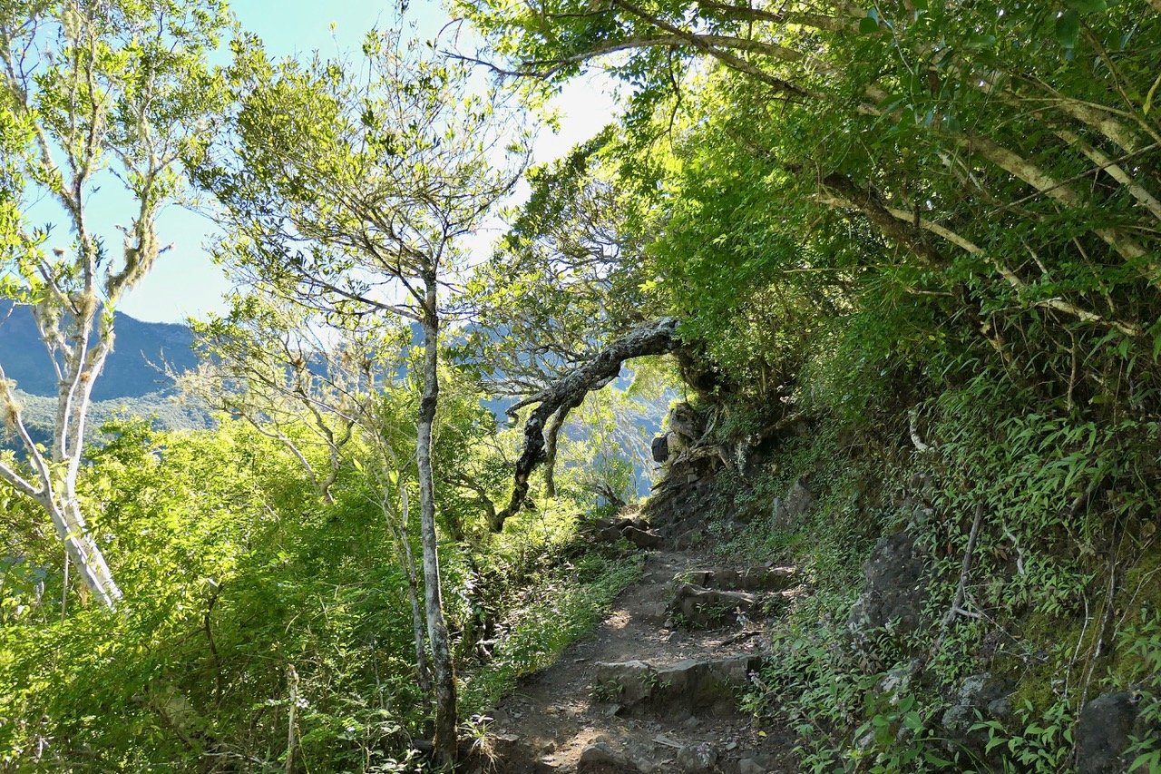 Sur le sentier.P1131764.jpeg