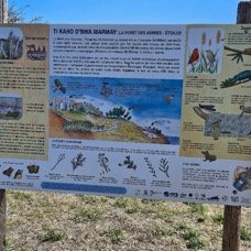 66. La forêt des écoliers 66 .jpeg