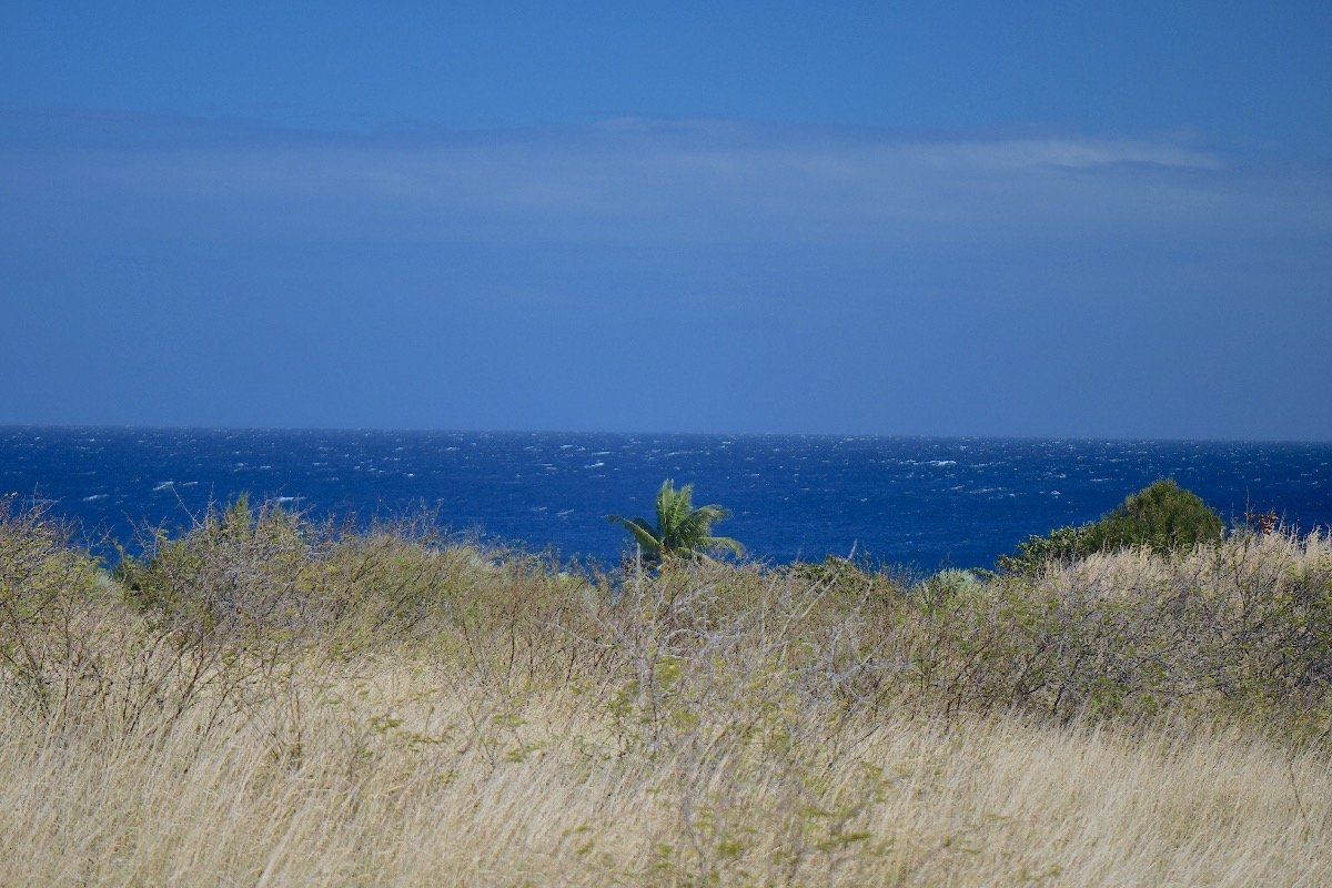 68. Littoral St-Leu 68 .jpeg