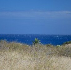 68. Littoral St-Leu 68 .jpeg