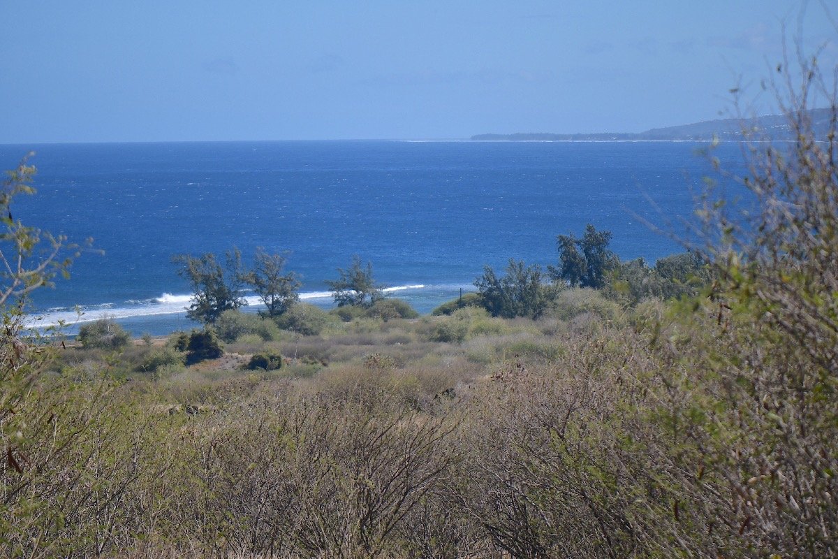 69. Littoral St-Leu 69.jpeg