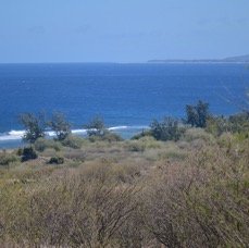 69. Littoral St-Leu 69.jpeg