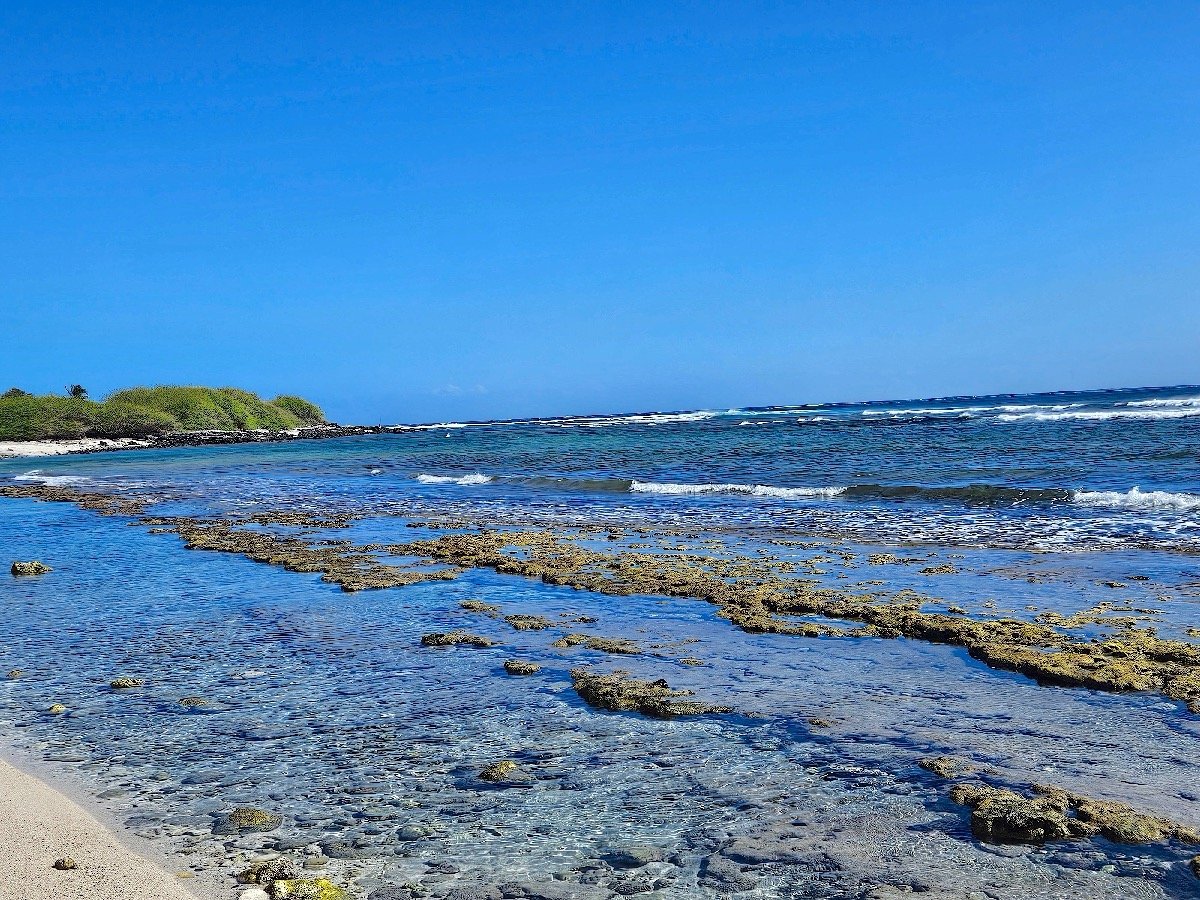 73. Plage Littoral St-Leu 73.jpeg