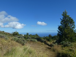 P1770568