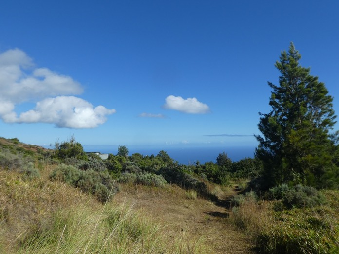 P1770568