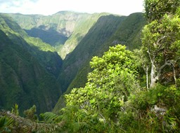 P1770620
