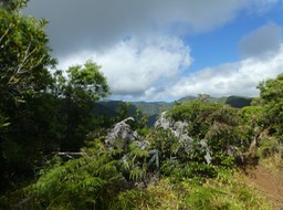 P1770634