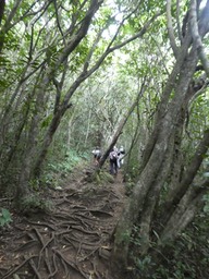 P1770750