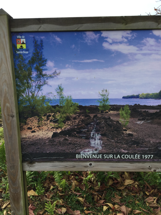 32 Panneau à l'entrée de la coulée