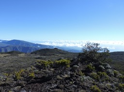 3 L'Est vu du Commerson 