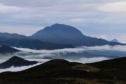IMG_3637