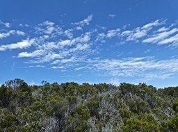 P1480925