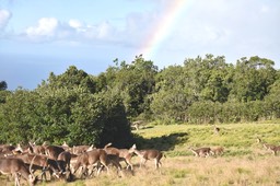 Rien à réer de l'arc en ciel !