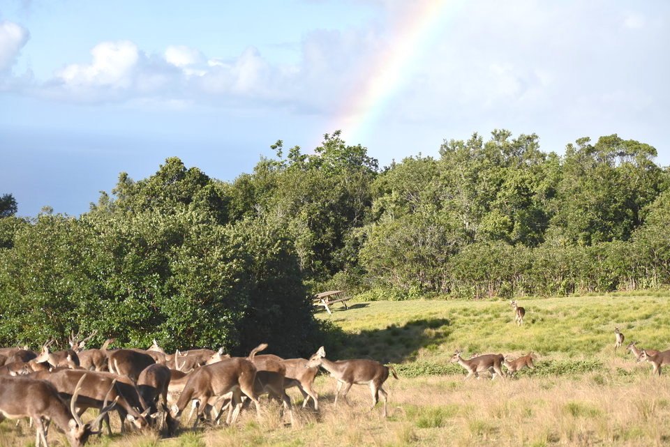Rien à réer de l'arc en ciel !