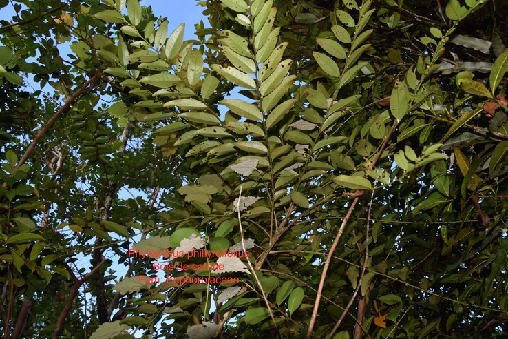 DSC_0318