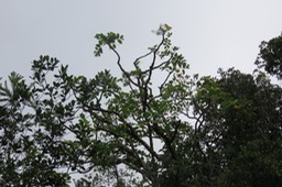IMG_1527