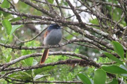 IMG_1536