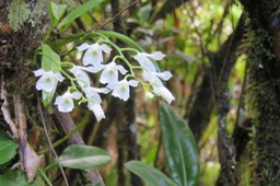 IMG_1558