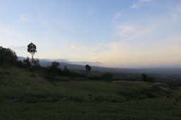 IMG_1567