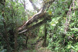 IMG_1580