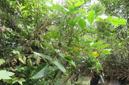 IMG_1589