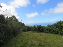 83 Vue vers le nord, sur Saint-Benoit