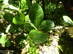 P1040643