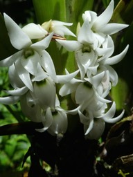 P1040691