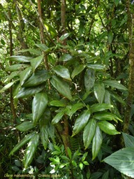P1040748