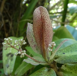 P1040784