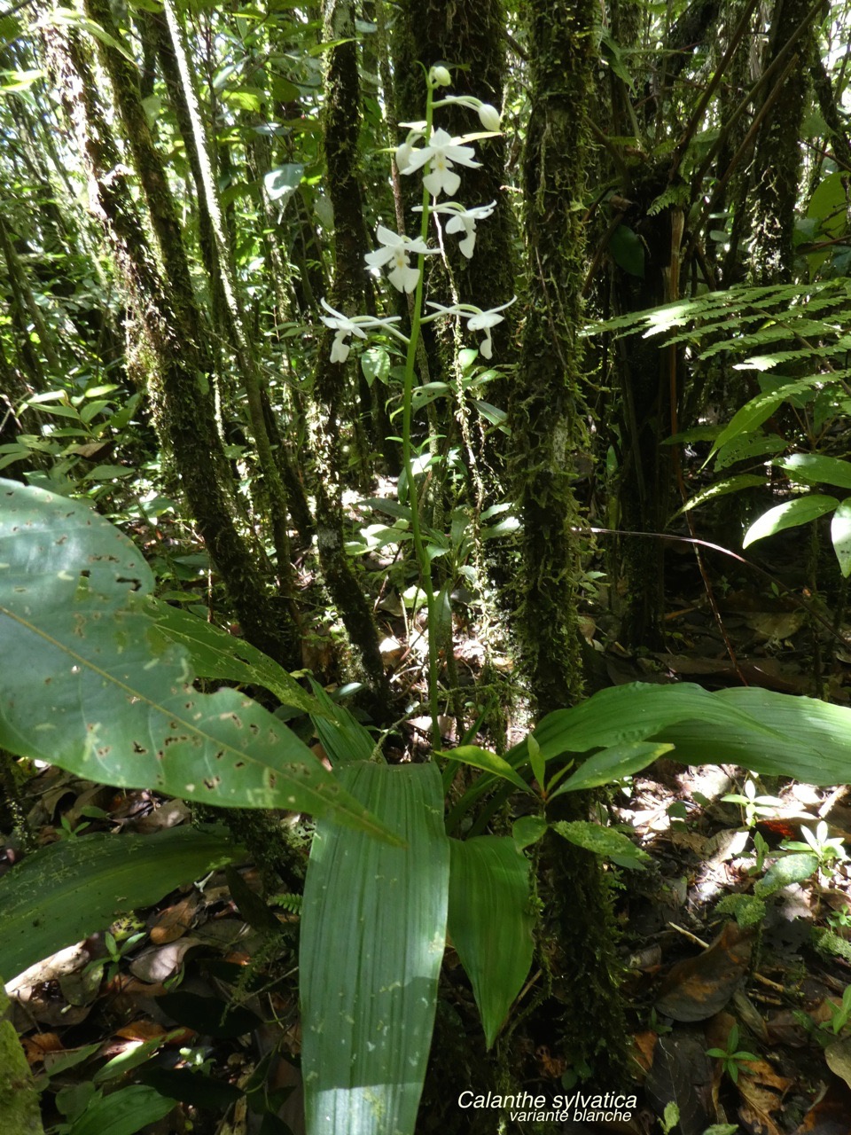 P1040797