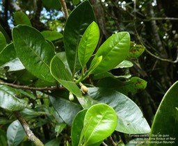P1040833 2