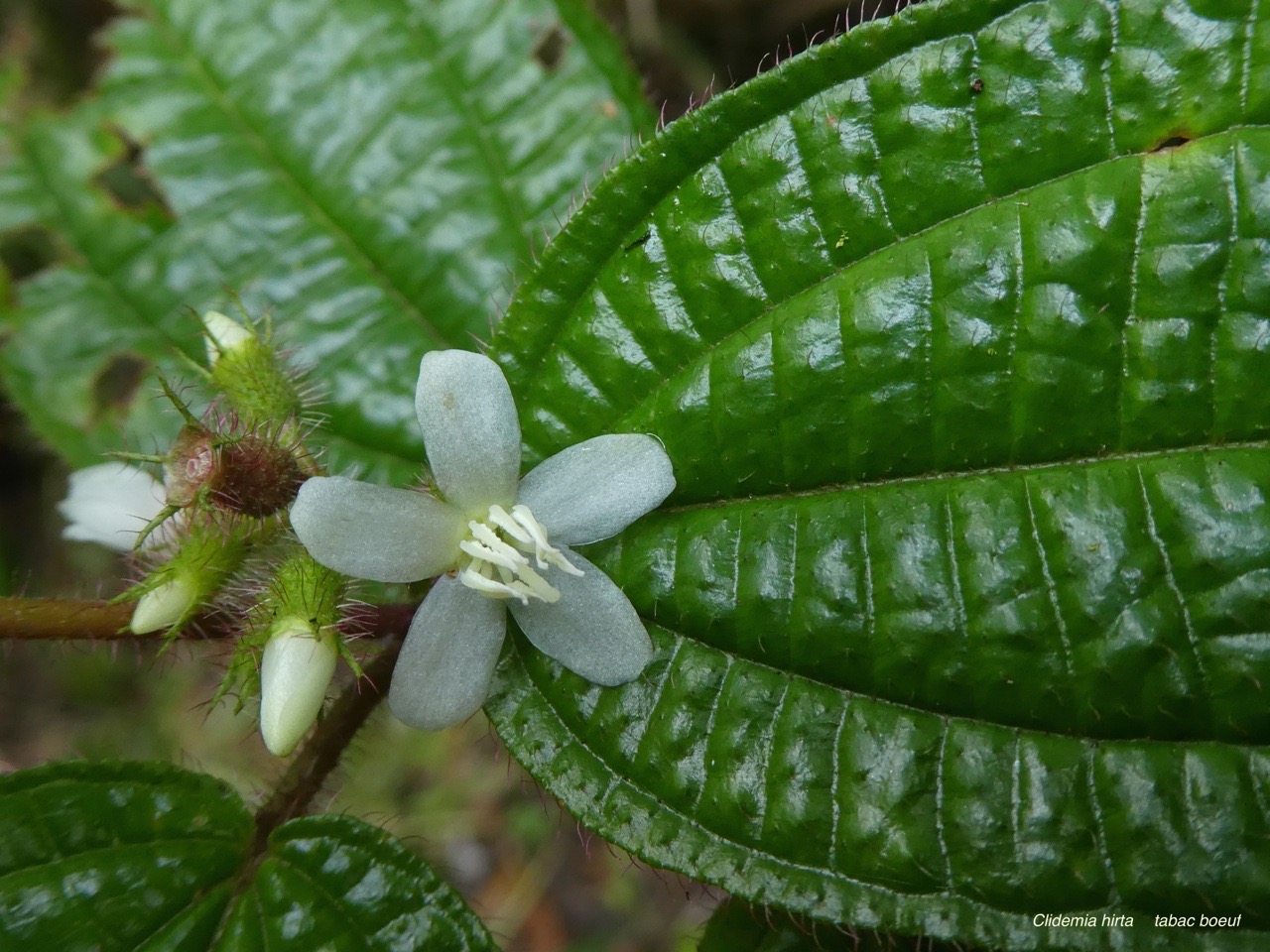 P1040861