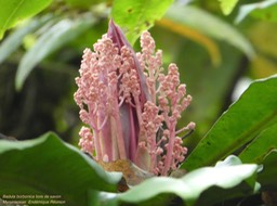 P1040864