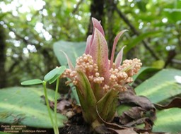 P1040870