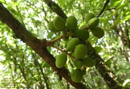 P1050148