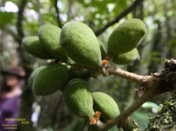 P1050155