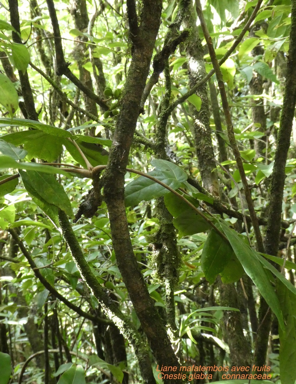 P1050163