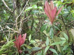 PICT0989