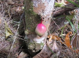 IMG_0021